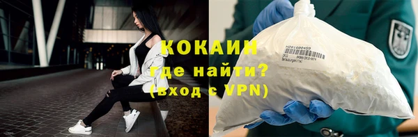 дмт Инта