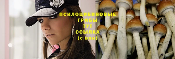 эйфоретик Заволжье