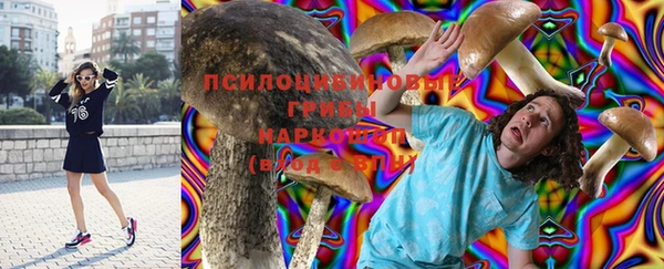 меф Инсар