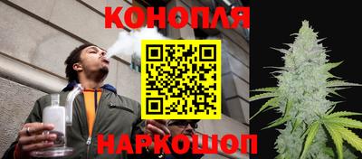 гидропоника Краснознаменск