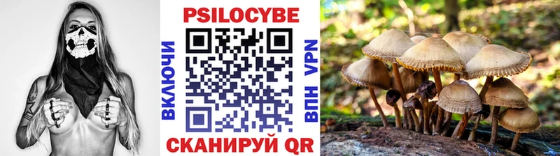 Псилоцибиновые грибы Cubensis Кимовск