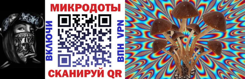 купить Кимовск Псилоцибиновые грибы Magic Shrooms