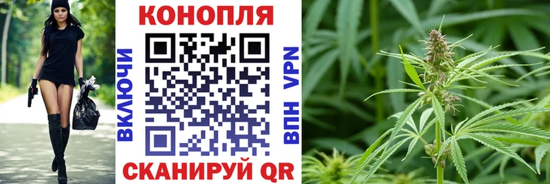 Бошки Шишки семена Кимовск